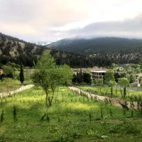 ۳۲۰م پلاک۱جنگل شهرکی4kmورودی فاز ۴ آزاد راه شمال
