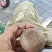 گوهر شب چراغ