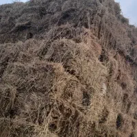 پرس یونجه