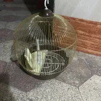 قفس