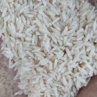 برنج هاشمی  چای لاهیجان باکیفیت عالی و قیمت مناسب