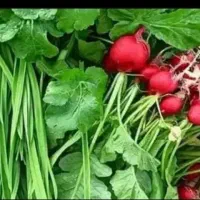سبزی خوردن پاک شده ونخودفرنگی پاک شده