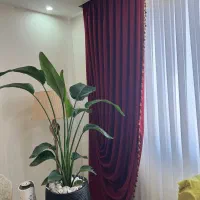 یک عدد دستک مخمل زرشکی با یراق ترک اعلا