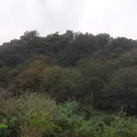 اجاره روزانه/هفتگی/ماهانه ویلا ۱۱۰ متری