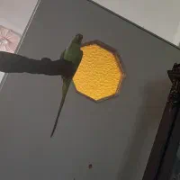 ملنگونر مست