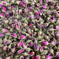 غنچه گل محمدی فوق ممتاز صادراتی