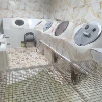 نان در بیار و شاتر