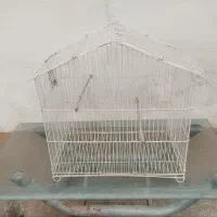 قفس پرنده