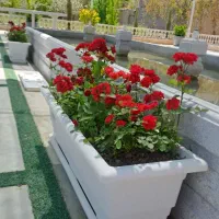خدمات باغبانی و اجرای فضای سبز