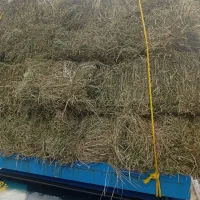 یونجه خالص چین دویک