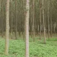 زمین مسکن ملی یک نفره طبقه پایین