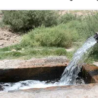 فروش 4ساعت آب چاه کوشه سفلی