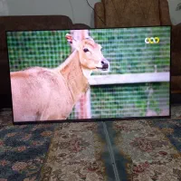 تلویزیون ال ای دی ۵۰ اینچ دوو