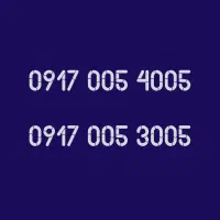 0917 005 4005