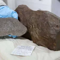 گوهرشناسی کارشناسی خریدار شهاب سنگ و الماس آسیاب