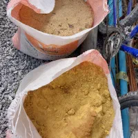 خاک اره