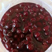 محصولات خونگی