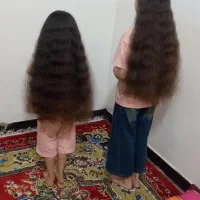 موی طبیعی