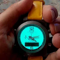 کاسیو رادیو کنترل