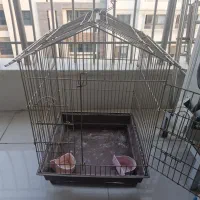 قفس طوطی عروس هلندی