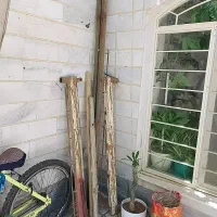 دارقالی زرنیم