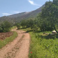 خدمات کشاورزی