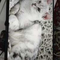 کیس گیمینگ با قطعات