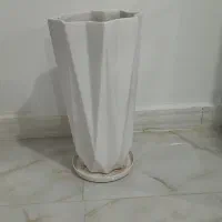 گلدان|گل و گیاه طبیعی|قلعه شاهین, |دیوار
