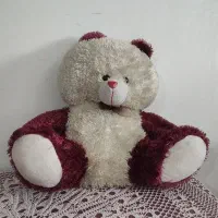 خرس بزرگ