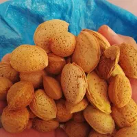 بادام ابی پر مغز