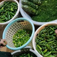 سبزی آماده میهمی