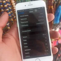 6s 64g|موبایل|قم, چهل درخت‎|دیوار