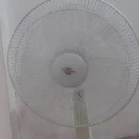 پنکه