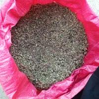 اویشن خشک وتازه