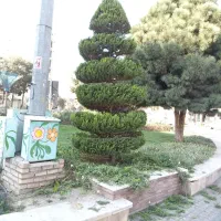 هرس‌وباغبانی