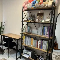 استند و کتاب خانه و شلف مدل شرابی