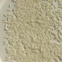 کاه گندم خریداریم نقد نقد