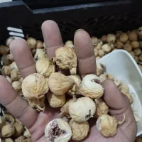 انجیر استهبان درجه یک