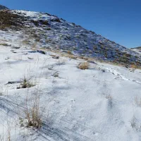 سیم کارت ایرانسل