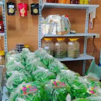 سبزیجات آماده طبخ تربچه