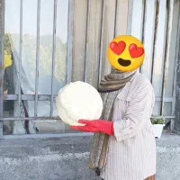 روغن حیوانی میش