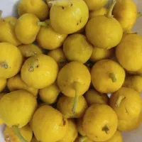 مربا انجیر زرد محلی خانگی و انجیر خشک محلی ارگانیک