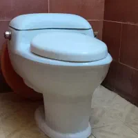 توالت فرنگی برند گلسار لوتوس