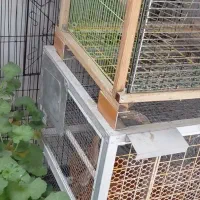 قفس پرنده وحیوانات خانگی