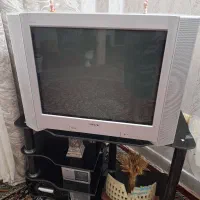 تلوزیون ۲۹ سونی