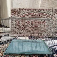 قفس متوسط