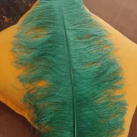 پر کلاهخود و محرم رنگ آمیزی داریم 50تومان