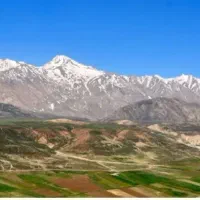 روغن محلی کوهرنگ وعسل طبیعی زردکوه بختیاری