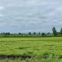 زمین-250-متر-بر-10-سند-تک-برگ-جهت-ملک-شمالی