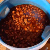 ترشی سیر